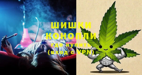 jwh Карпинск